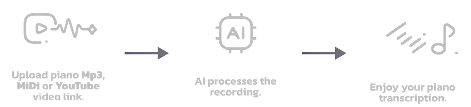 Transcription process schema